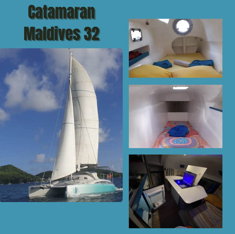 Location Bateau Catamaran Martinique Skipper Marin Plage Salines Rocher Diamant Activites Nautiques Conciergerie Gardiennage Reparation Moteur Expertise Marina Azur Spiritazur Spirit Location Bateau Moteur Catamaran Martinique 2